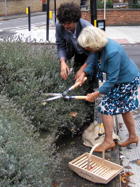 Duchess of Cornwall joins SE1 guerrilla lavender harvest