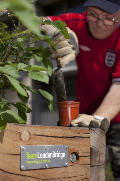 Top green awards for Melior Street Gardens and Team London Bridge