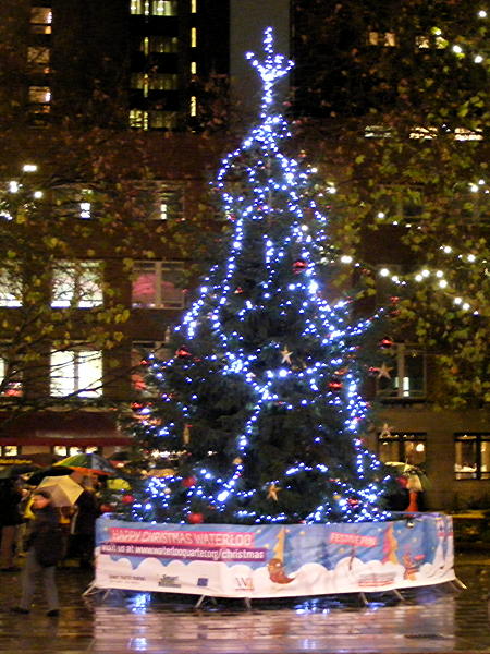 Christmas tree in Emma Cons Gardens