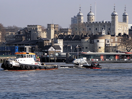 'Whale' on the Thames to highlight plight of endangered species