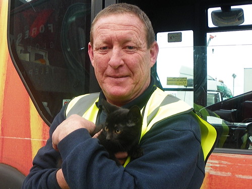 Dusty the kitten rescued by Southwark bin man