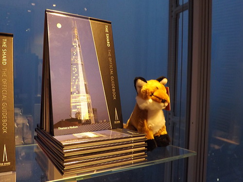 The View from the Shard: in pictures