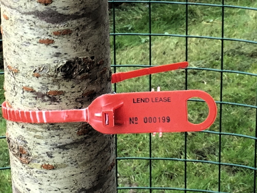 Lend Lease pauses tree-planting after Rockingham rumpus