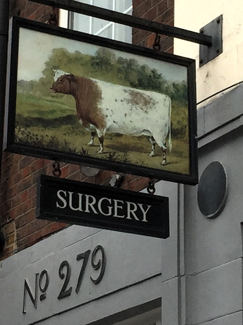 Dun Cow Surgery