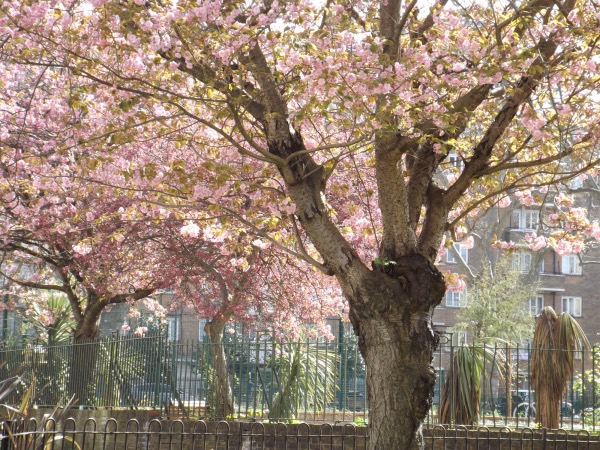 Mayor of Southwark opens new-look gardens in Nelson Square