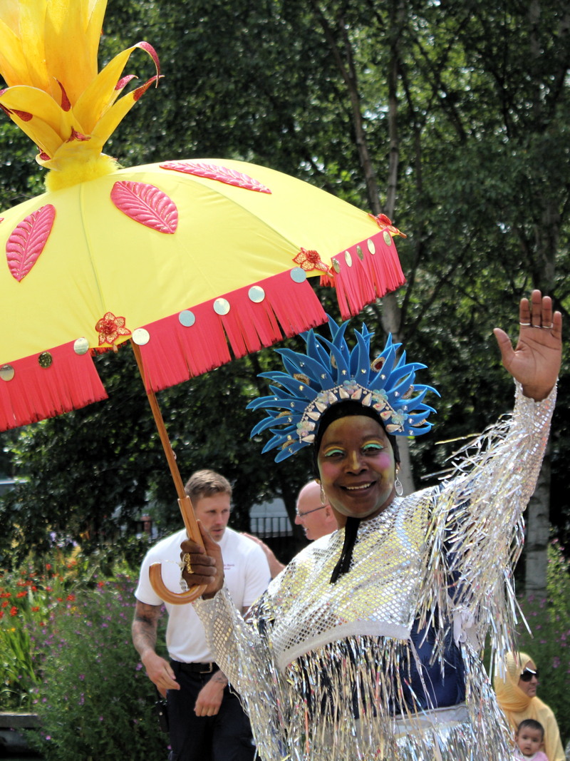 Pictures: Waterloo Carnival celebrates 15th year