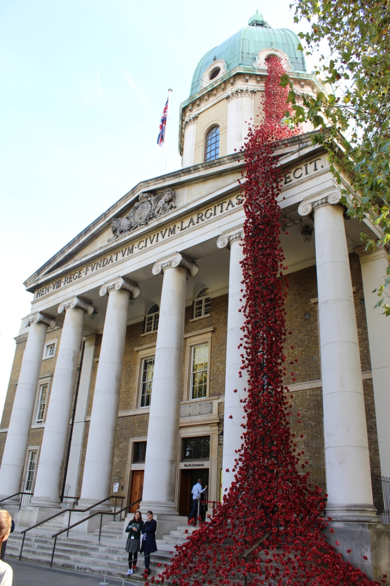 Weeping Window: poppies art installation comes to IWM London
