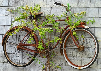 Reinventing the Bike Shed