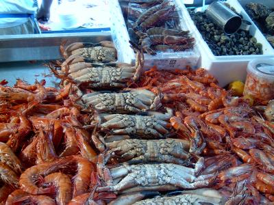 Oyster & Seafood Fair at Hay's Galleria