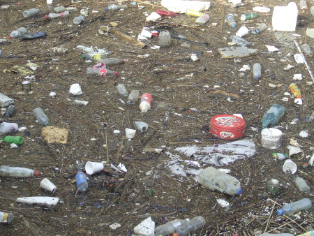 Rubbish at St Saviour's Dock last year