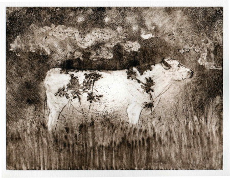 Christine Hopkins ASGFA, Cow Parsley, drypoint