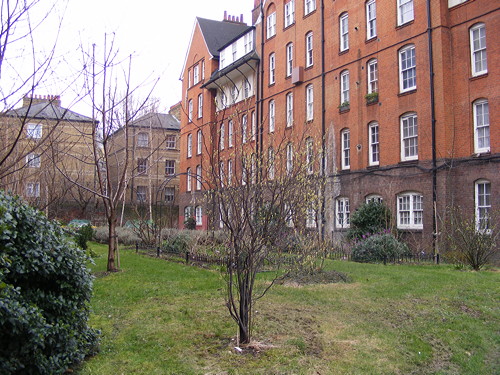 Webber Row Community Garden