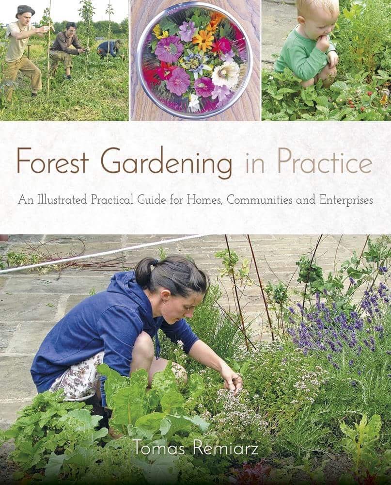 Introduction to Forest Gardens at Brookwood House