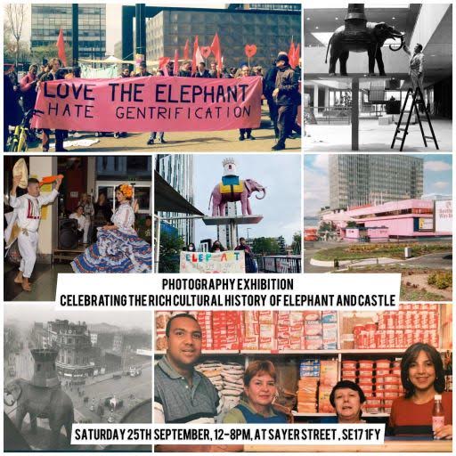 Elephant & Carnival at Flat70